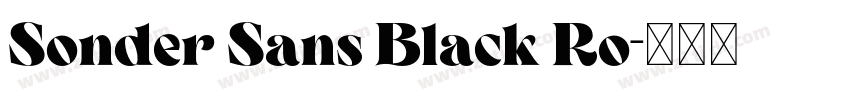 Sonder Sans Black Ro字体转换 Sonder Sans Black Ro字体转换